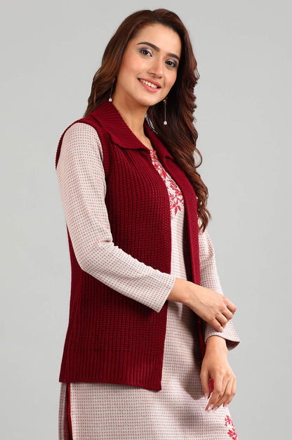 Red Shirt Collar Solid Sweater