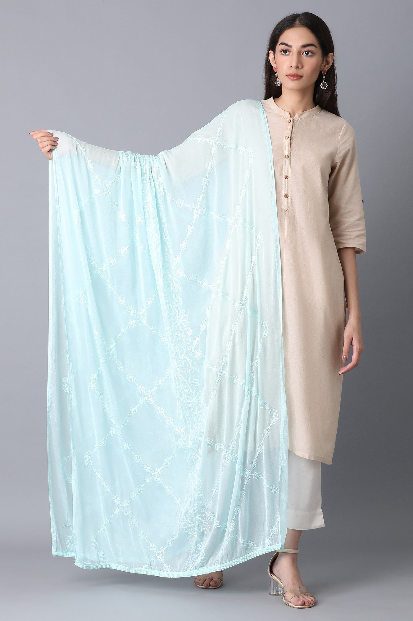 Light Blue Embroidered Dupatta