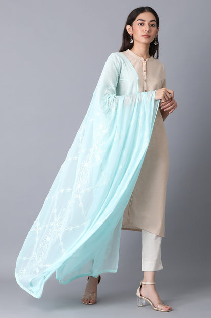 Light Blue Embroidered Dupatta