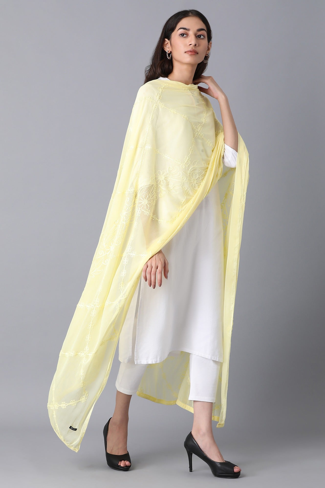 Light Yellow Embroidered Dupatta