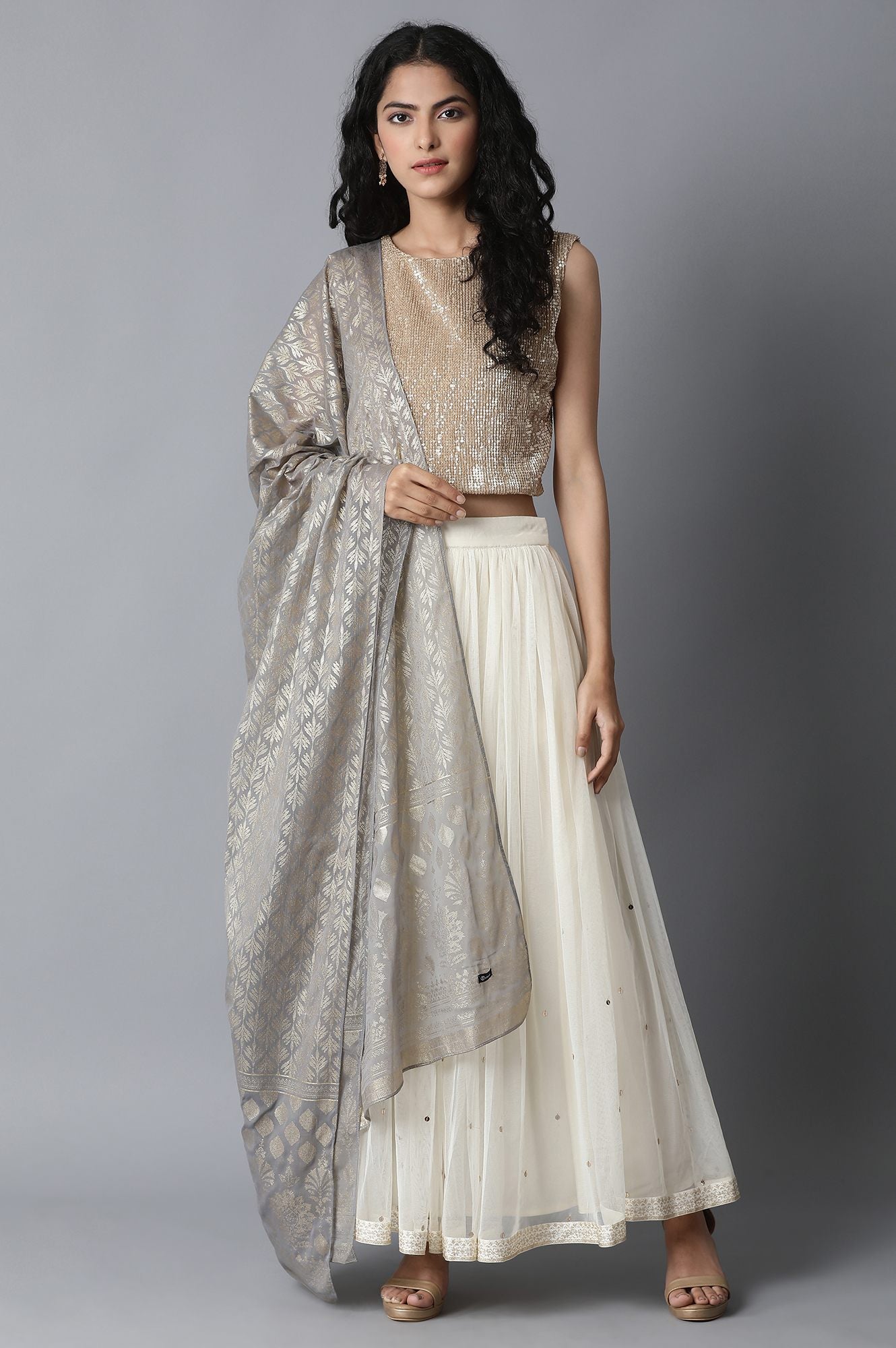 Silver Printed Chiffon Dupatta