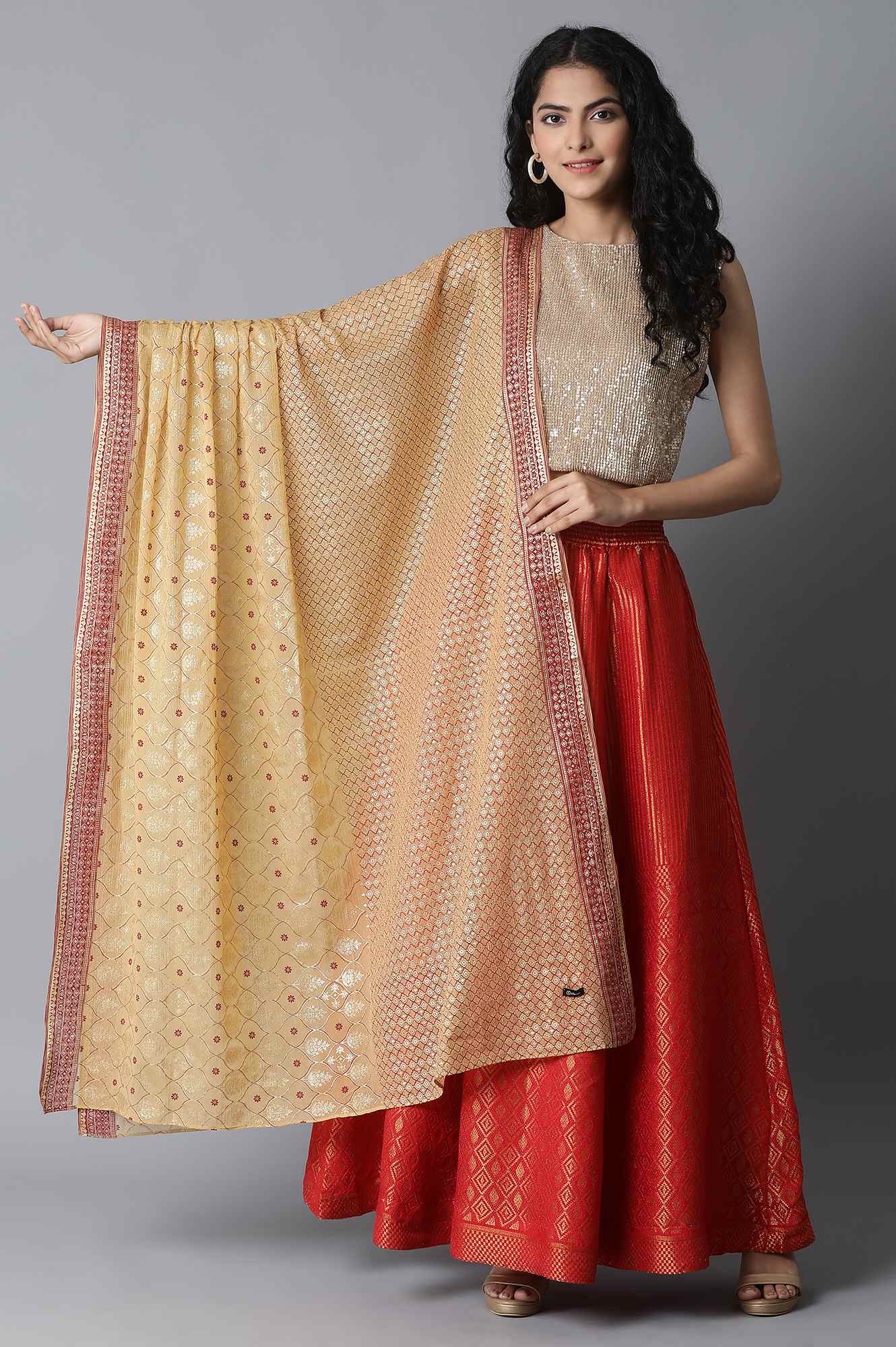 Red Printed Chiffon Dupatta