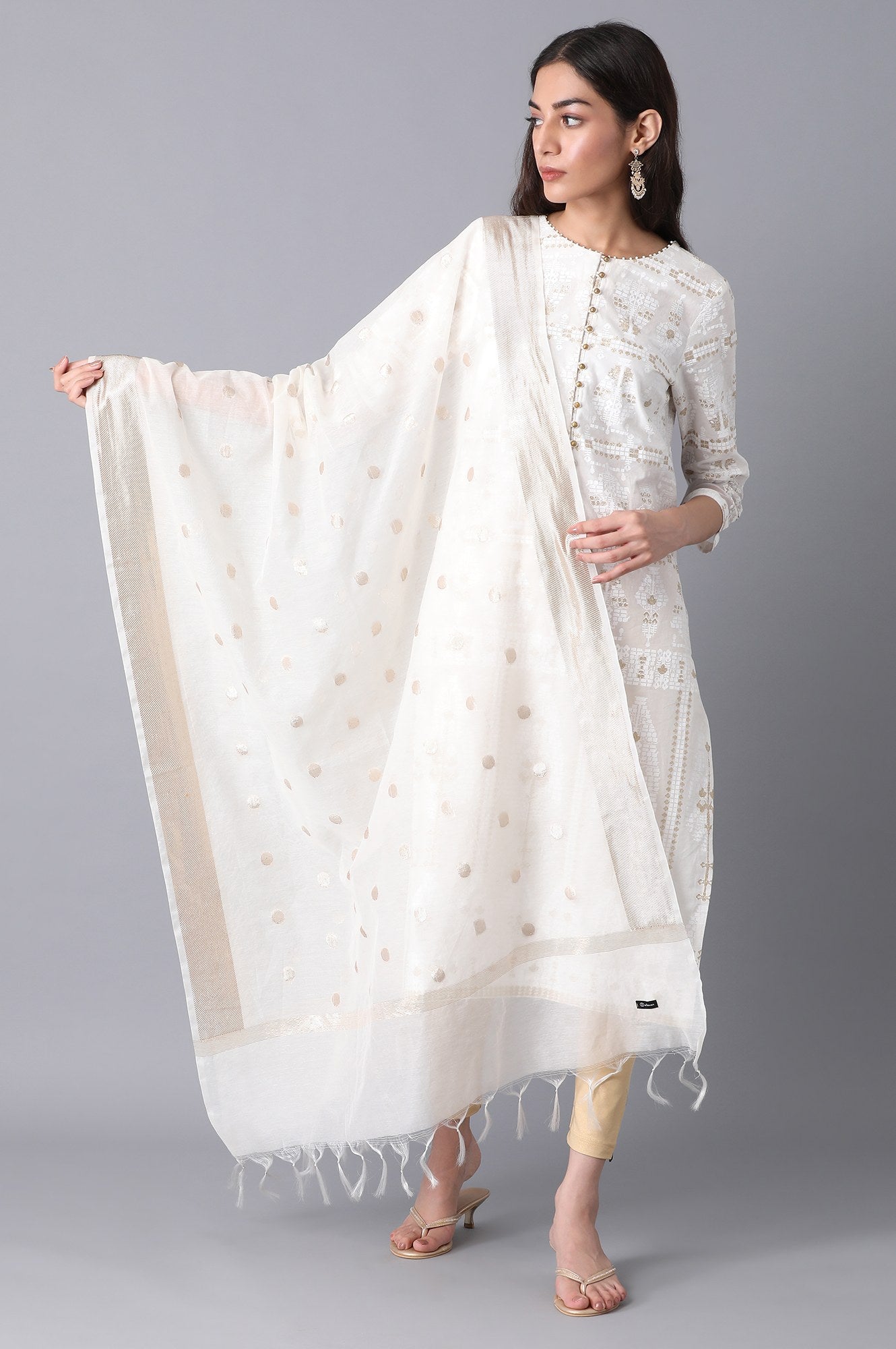 Off-White Banaras Jacquard Dupatta