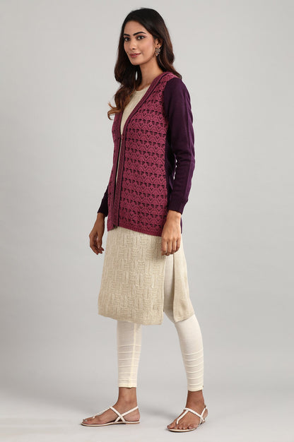 Purple V- Neck Full Sleeve Sweater