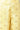Gold Printed Palazzos