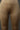 Golden Solid Cotton Lycra Tights