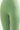 Green Cotton Lycra Tights