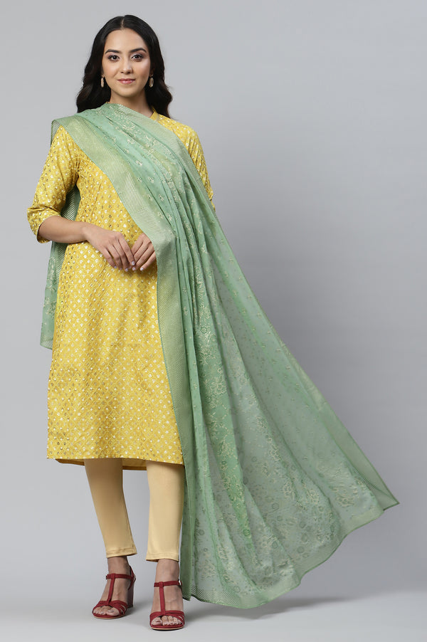 Pista Green Printed Silver Chiffon Dupatta