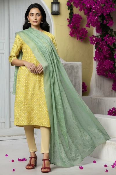 Blue Placement Print Silver Chiffon Dupatta