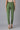 Green Skinny Tights