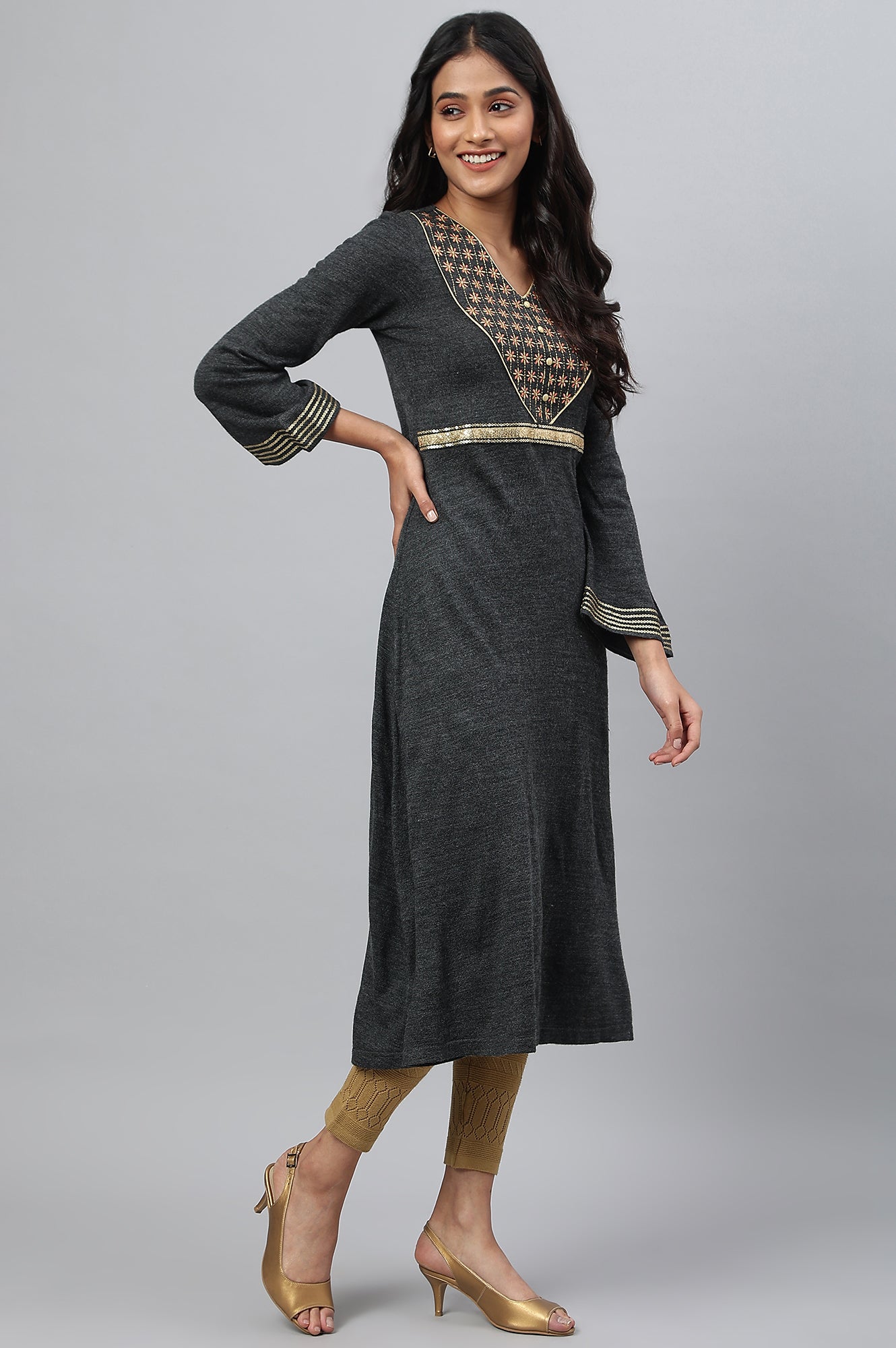 Grey Embroidered A-Line Plus Size Winter Dress