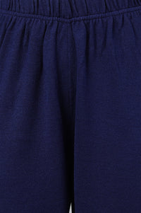 Blue Ankle Length Straight Winter Palazzo