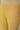 Gold Lycra Winter Tights