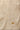 Gold Foil Printed Festive Dupatta