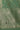 Green Zari Embroidered Festive Kurta, Trousers and Dupatta Set