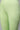 Green Cotton Lycra Tights
