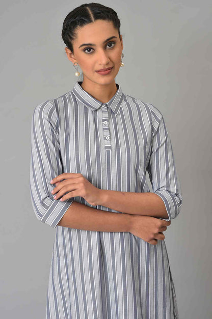 Blue Stripe Print Shirt Collar kurta