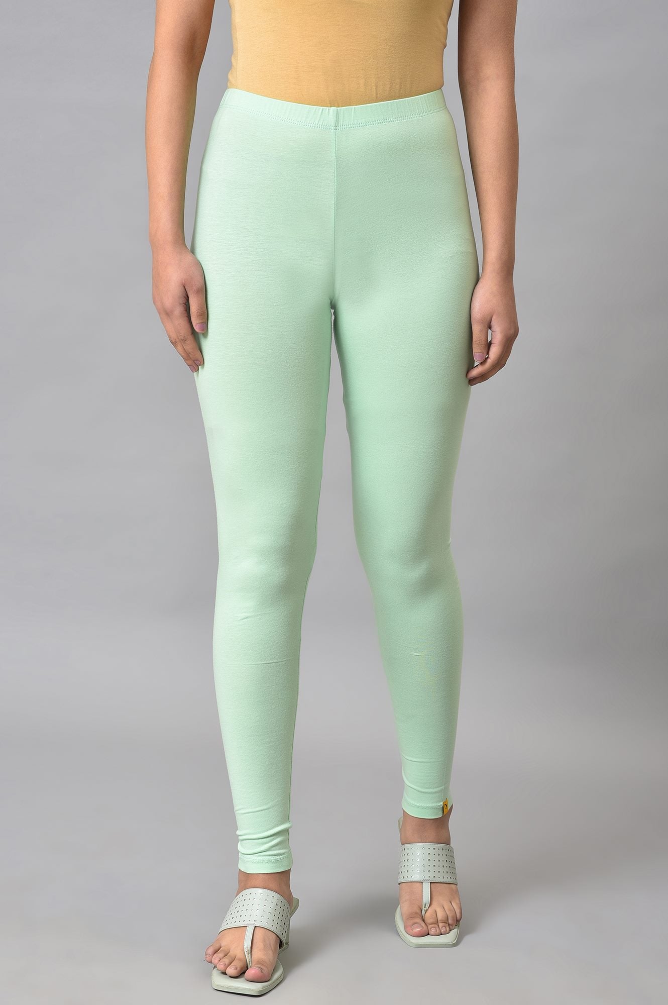 Pista Green Cotton Lycra Tights