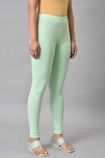 Pista Green Cotton Lycra Tights