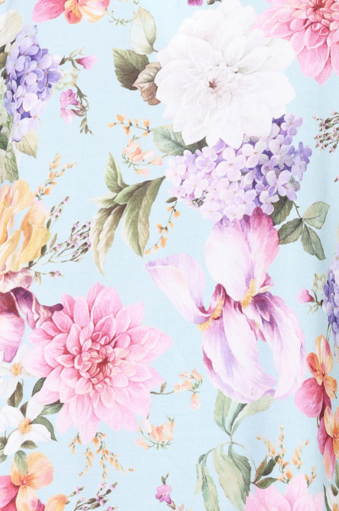 Aurelia Women&