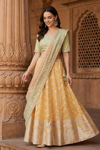 Green and Yellow Embroidered Jacquard Blouse with Lehenga and Dupatta Set