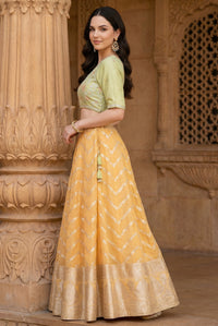 Green and Yellow Embroidered Jacquard Blouse with Lehenga and Dupatta Set