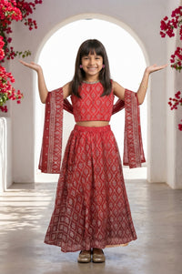 Maroon embellished Chiffon Sleeveless Crop Top and Lehenega Set with Dupatta