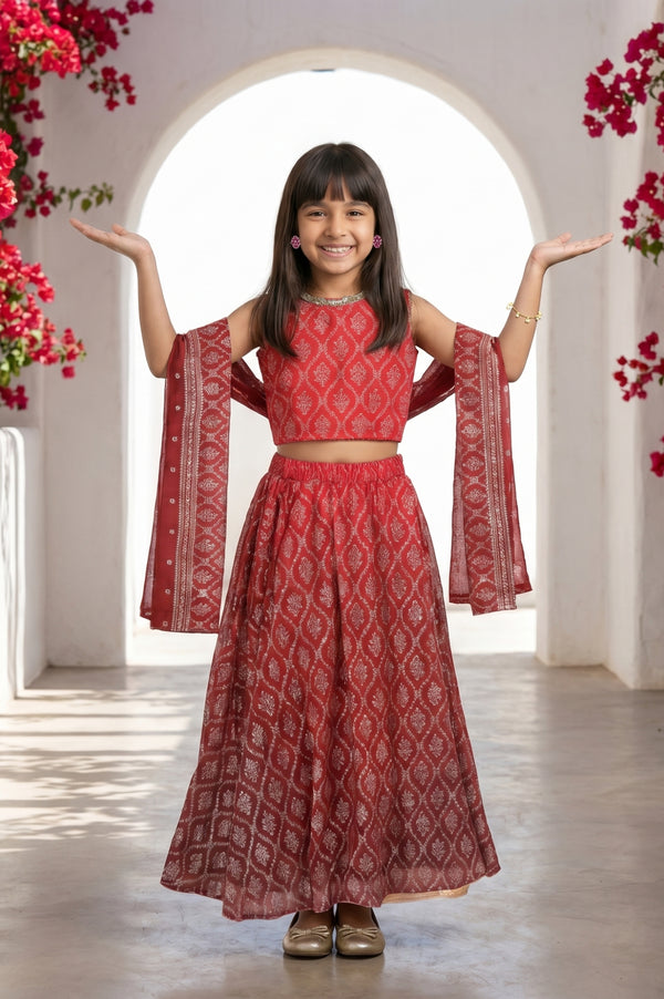 Maroon embellished Chiffon Sleeveless Crop Top and Lehenega Set with Dupatta