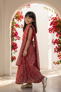 Maroon embellished Chiffon Sleeveless Crop Top and Lehenega Set with Dupatta