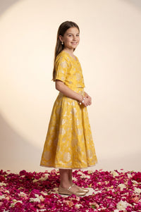 Yellow Thread Embroidered Sleeveless Flared Dress with Jacket Set