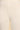 Cream Solid Schiffli Embroidered Flared Kurta, Leggings and Dupatta Set