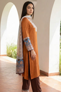 Rust Ethnic Motifs Straight Kurta with Trouser and Dupatta Set